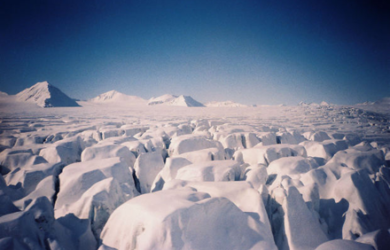 Arktis. Bild: Morguefile